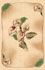 dywan_29